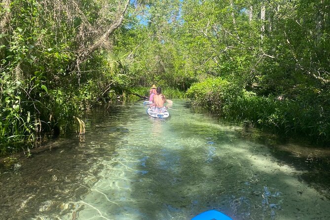 Rainbow Springs Electric Paddle Tour - Starting at Rainbow Springs near Dunnellon