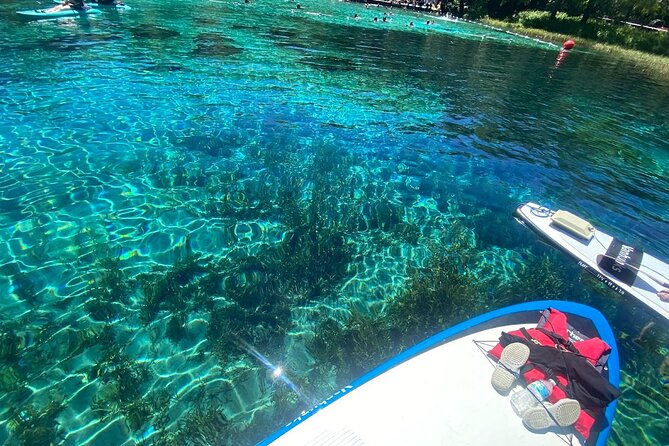 Rainbow Springs Electric Paddle Tour - Heading upstream toward the spring