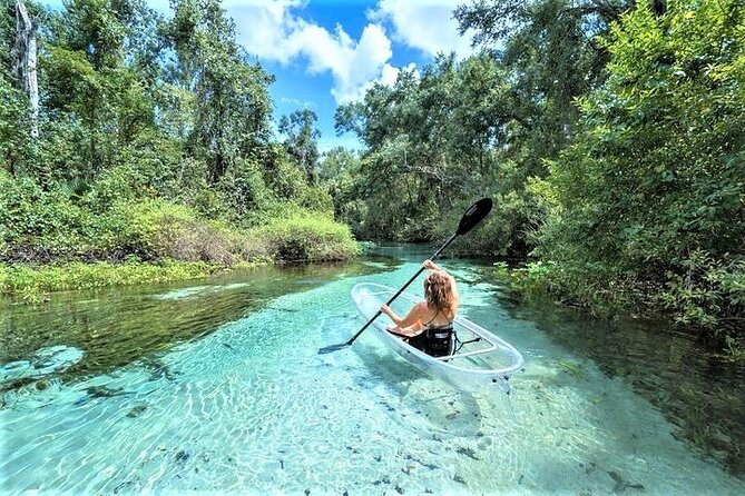 Rock Springs 2-Hour Glass Bottom Guided Kayak Eco Tour - Quick takeaways