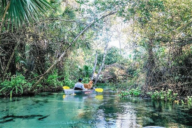 Rock Springs 2-Hour Glass Bottom Guided Kayak Eco Tour - What the two-and-a-half-hour route feels like