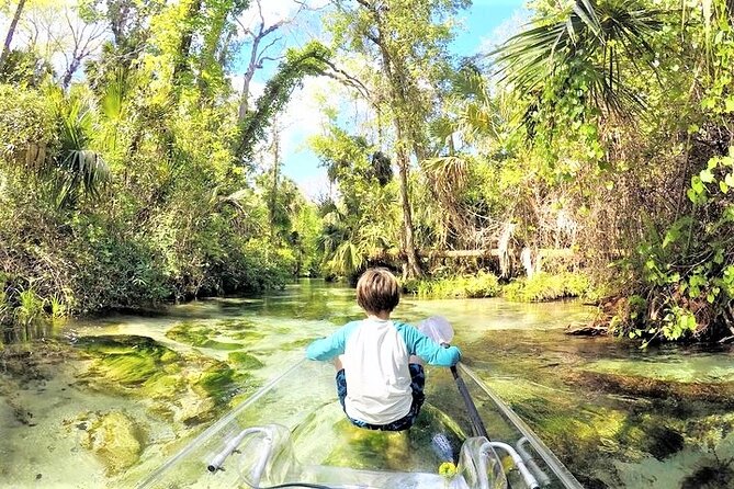 Rock Springs 2-Hour Glass Bottom Guided Kayak Eco Tour - The swim stop is a welcome change of pace