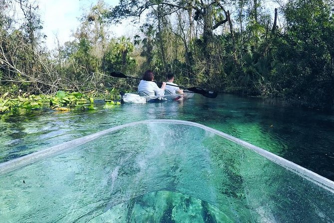 Rock Springs 2-Hour Glass Bottom Guided Kayak Eco Tour - Crowds can change the character of the outing