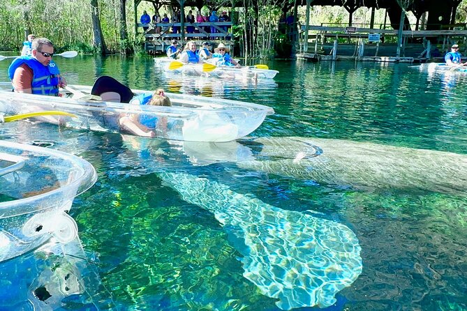 Sassy’s Silver Springs Kayak and Paddleboard Tours - Why Silver Springs is worth your morning