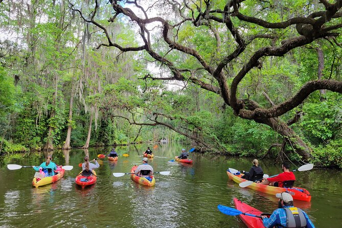 Scenic Half-Day Kayak or Paddleboard Rental – Dora Canal - Key points to know before you book
