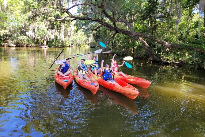 Scenic Half-Day Kayak or Paddleboard Rental – Dora Canal - Starting at Wooton Park in Tavares