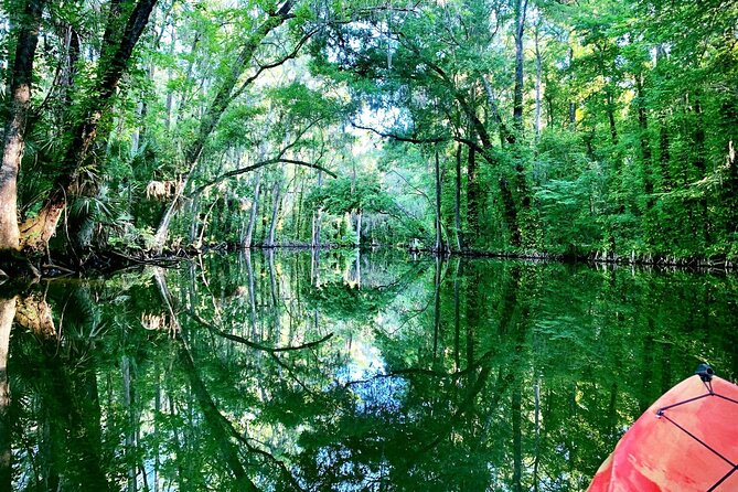 Scenic Half-Day Kayak or Paddleboard Rental – Dora Canal - What the $55 price includes