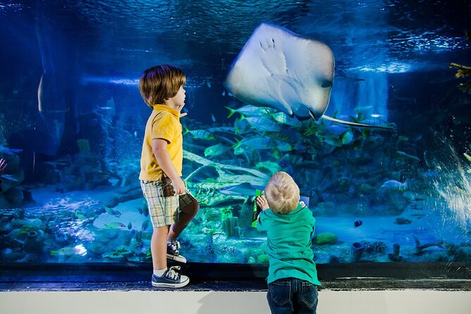 SEA LIFE Orlando Aquarium Admission Ticket at ICON Park - Seahorses, Jellyfish, and the Pacific Octopus