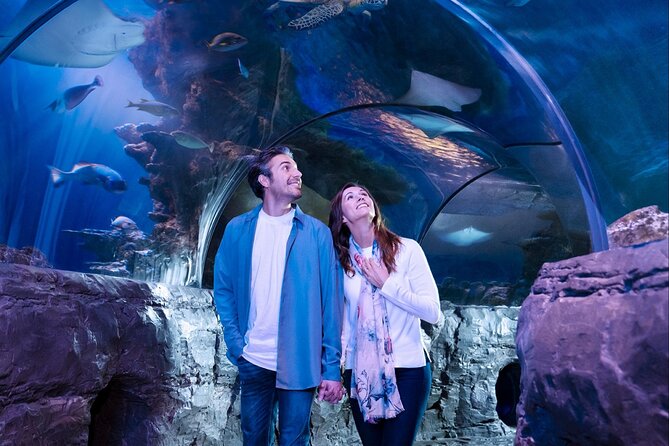 SEA LIFE Orlando Aquarium Admission Ticket at ICON Park - How Long You Should Allow