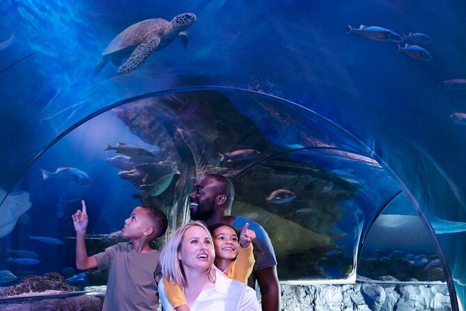 SEA LIFE Orlando Aquarium Admission Ticket at ICON Park - Adding the Orlando Eye