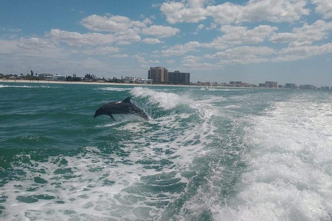 Sea Screamer Boat Cruise in Clearwater Beach with Transport - A short walk to Pier 60
