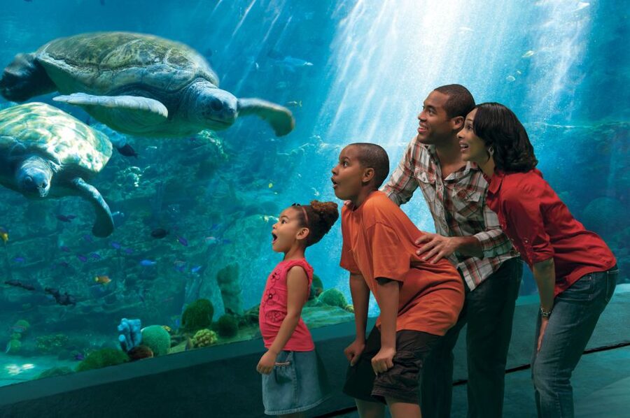 SeaWorld Orlando: Park Admission Ticket - Sesame Street Land is the best base for small children