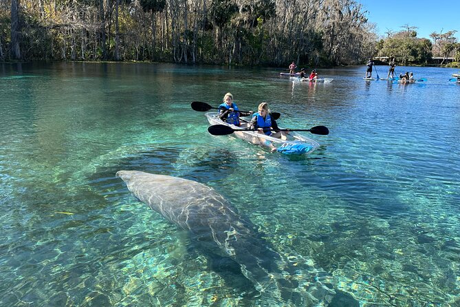 Silver Springs Clear Kayak Manatee, Monkey & Wildlife Adventures - Should you book Silver Springs Clear Kayak Manatee, Monkey & Wildlife Adventures?