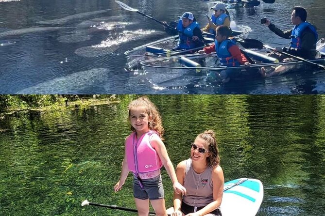 Silver Springs Clear Kayak Manatee, Monkey & Wildlife Adventures - The wildlife list is wide, but never guaranteed