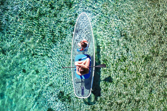 Silver Springs: Clear Kayak Wildlife Adventure - How Hard Is the Paddling?