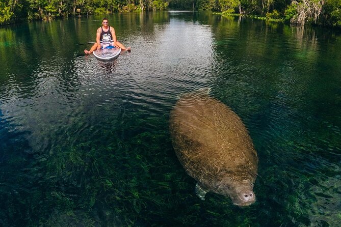 Silver Springs: Clear Kayak Wildlife Adventure - Weather and Cancellation Flexibility