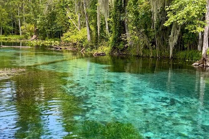 Silver Springs: Clear Kayaking Wildlife Tour - Why the clear kayaks change Silver Springs