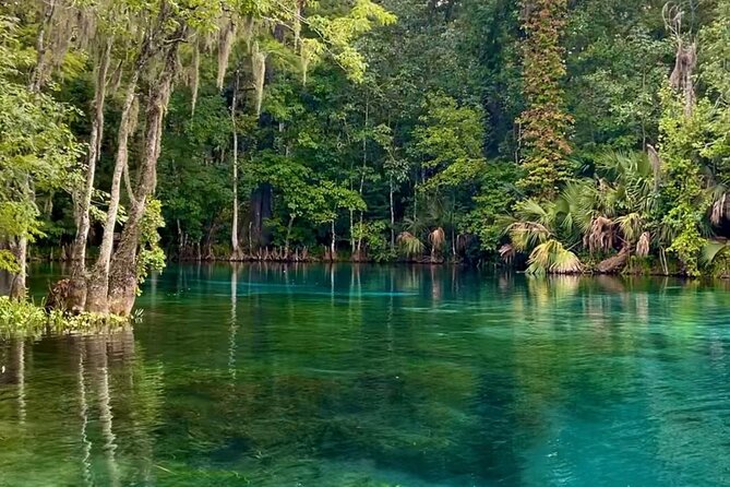 Silver Springs: Clear Kayaking Wildlife Tour - About 90 minutes on the Silver River