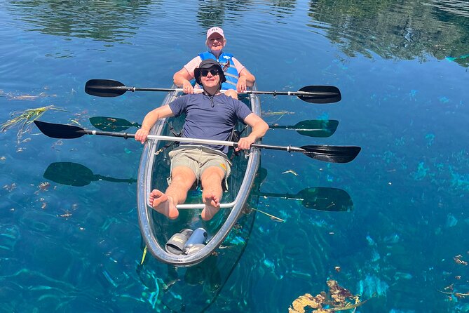 Silver Springs: Clear Kayaking Wildlife Tour - Wildlife sightings: what you might see