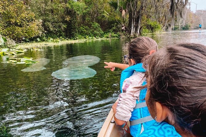 Silver Springs - Glass Bottom Kayak Rental - Who Should Book This Kayak Rental