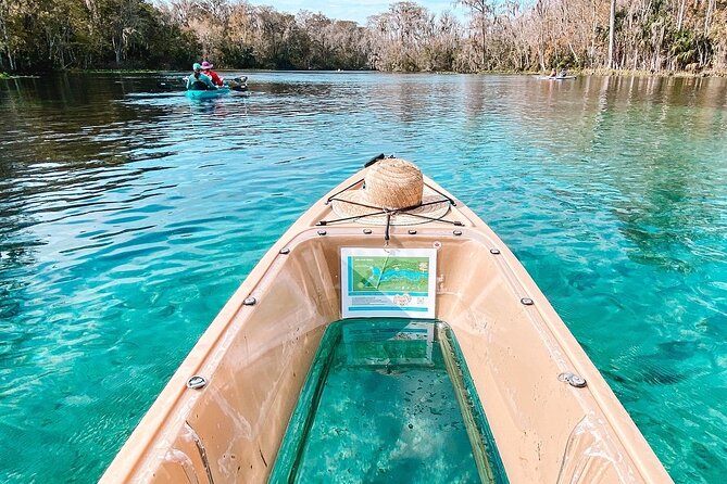 Silver Springs Glass Bottom Kayak Tour - Why Silver Springs feels different from an ordinary kayak trip