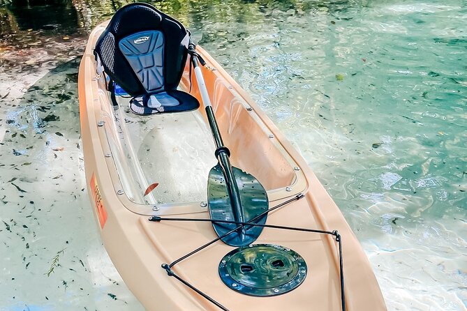 Silver Springs Glass Bottom Kayak Tour - The glass-bottom kayak: useful feature or clever extra?