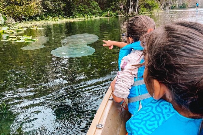 Silver Springs Glass Bottom Kayak Tour - What the price really includes