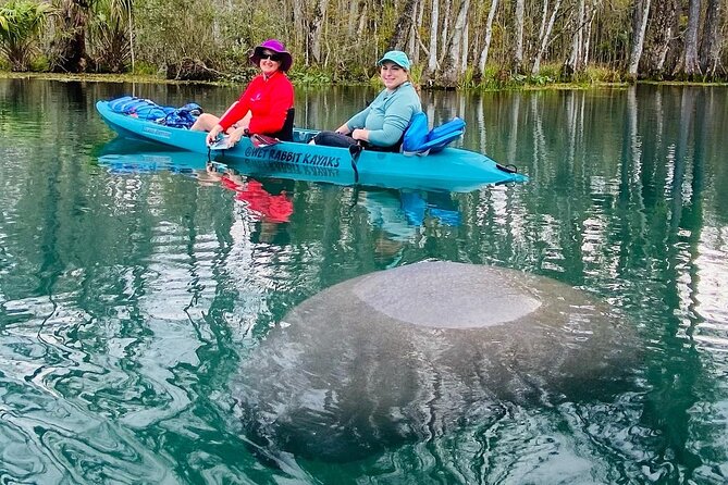 Silver Springs Glass Bottom Kayak Tour - Who will enjoy this paddle most