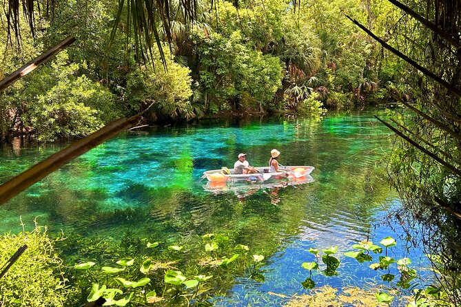 Silver Springs Jungle Kayaking and Paddleboarding - Stop three: Silver Springs State Park