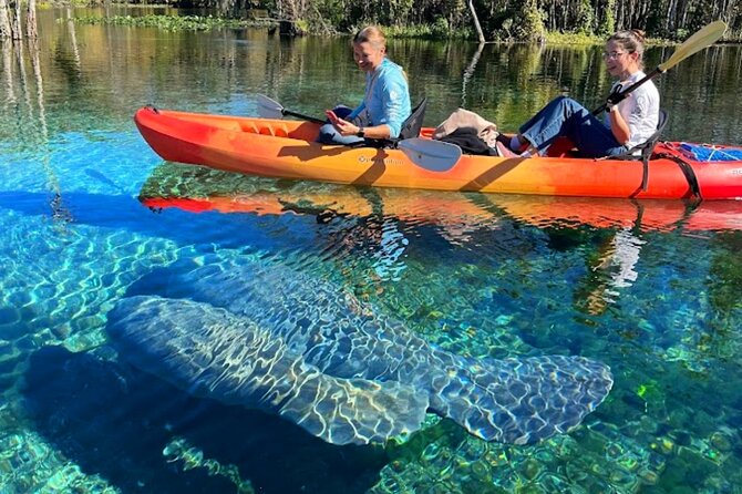 Silver Springs Jungle Kayaking and Paddleboarding - What the $40 price really includes