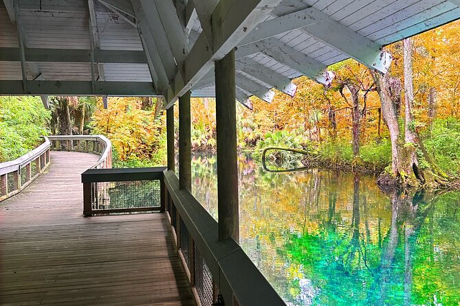 Silver Springs Jungle Kayaking and Paddleboarding - Who will enjoy this paddle most