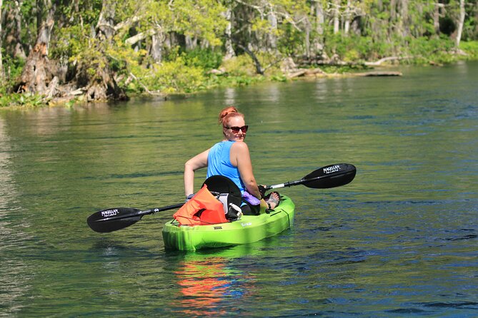Silver Springs Manatee Kayak Tour - Silver Springs from a kayak, not a viewing platform
