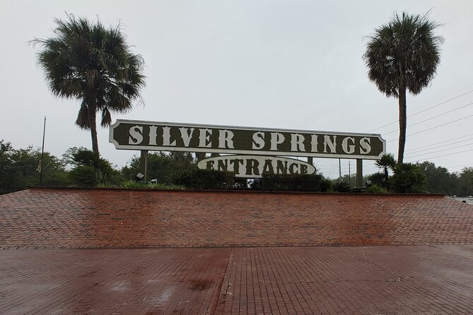 Silver Springs Manatee Kayak Tour - Why the small group changes the experience