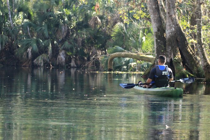 Silver Springs Manatee Kayak Tour - How strenuous is the paddle?