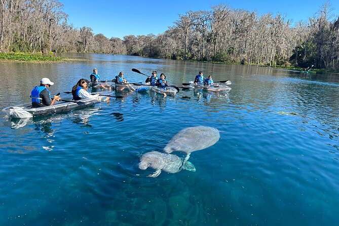Silver Springs Self Guided Clear Kayak Rentals - Why the clear kayak matters at Silver Springs