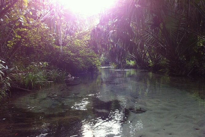 Silver Springs Self Guided Clear Kayak Rentals - Finding the main spring and returning to the ramp
