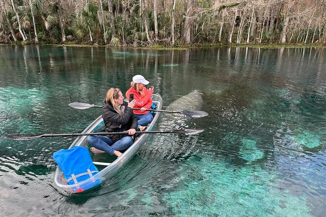 Silver Springs Self Guided Clear Kayak Rentals - Is $65 a fair price?