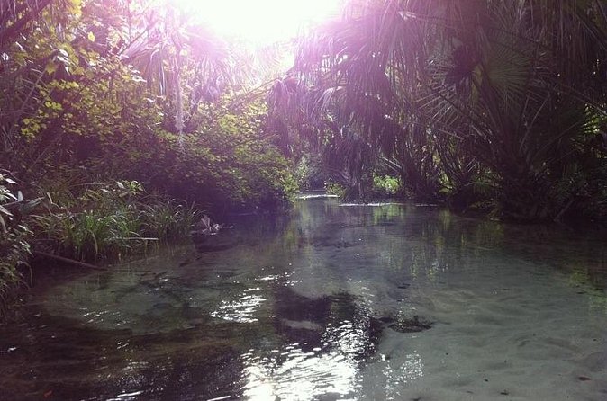 Silver Springs Self Guided Clear Kayak Rentals - Who will enjoy this outing most?
