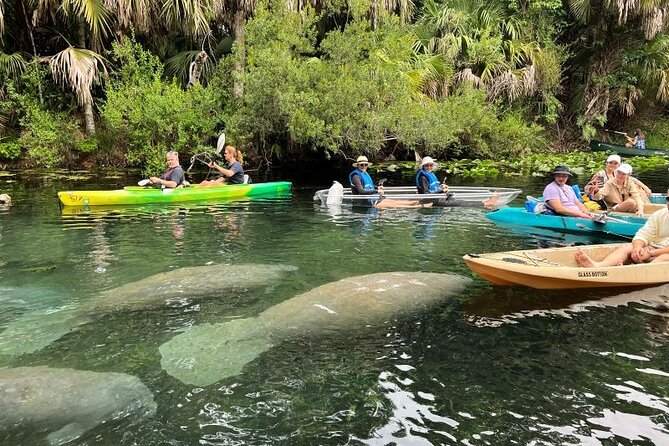 Silver Springs Self Guided Clear Kayak Rentals - Weather, cancellation, and practical planning