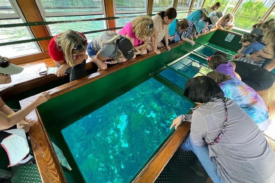 Small Group Silver Springs State Park Day Tour from Orlando - Five hours of free time changes the pace