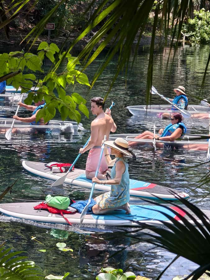 Small Group Silver Springs State Park Day Tour from Orlando - The guide and group size shape the experience