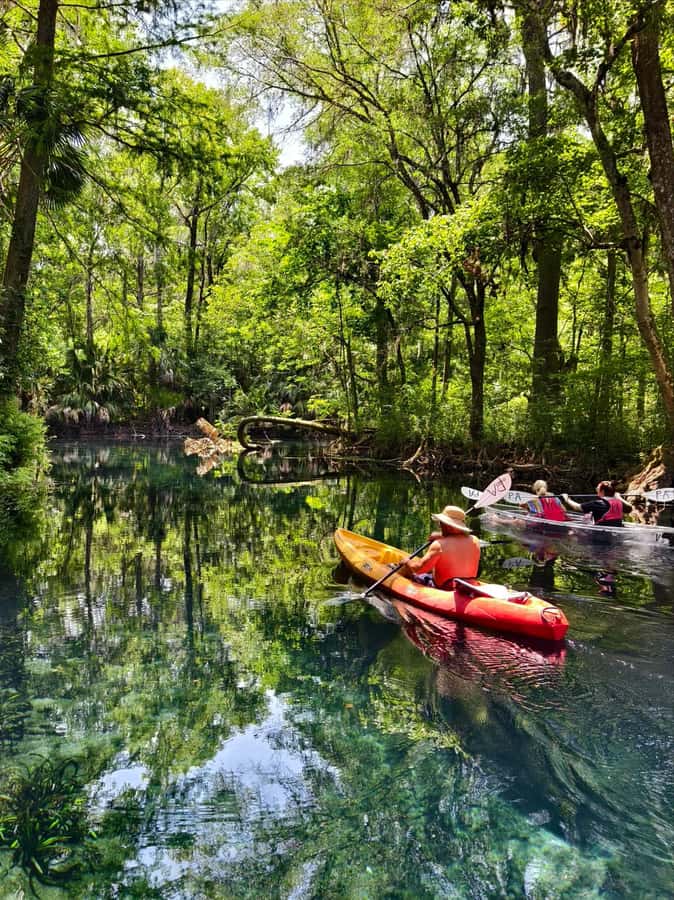 Small Group Silver Springs State Park Day Tour from Orlando - What the $75 price really covers