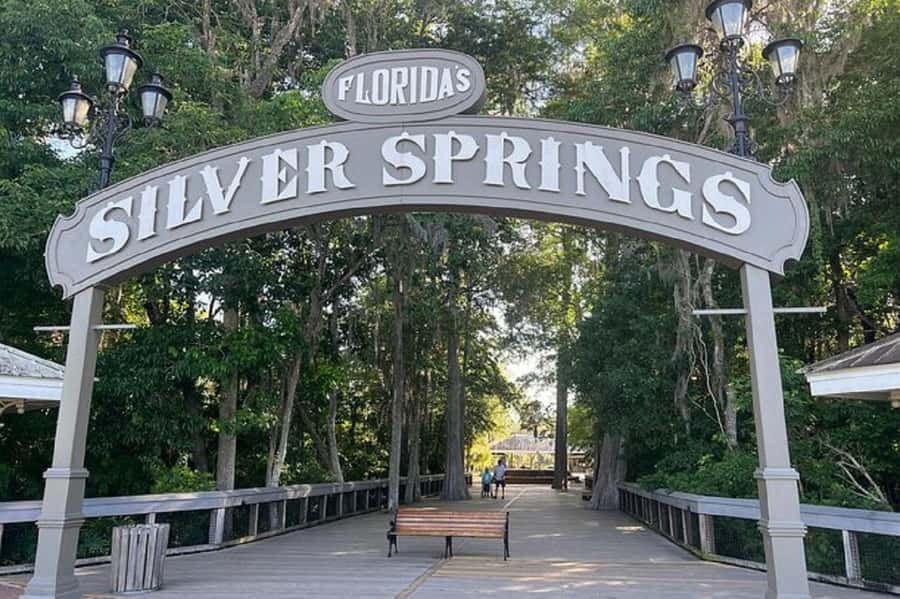 Small Group Silver Springs State Park Day Tour from Orlando - Who will enjoy this day most