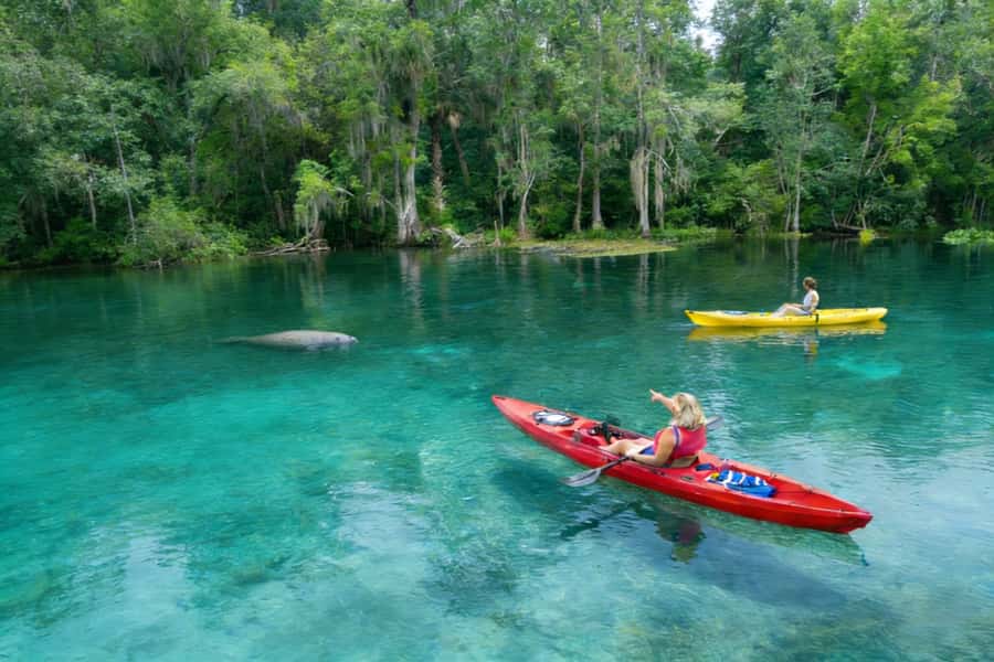 Small Group Silver Springs State Park Day Tour from Orlando - Glass-bottom boats reveal Mammoth Spring