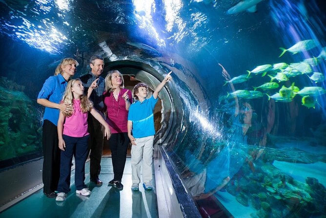 The Orlando Eye Admission Ticket at ICON Park - Why ICON Park makes planning easier