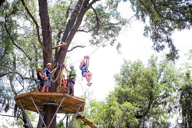 Treetop Express Zip Line Tour with 5 Zip Line Flights & 2 Sky Bridges Included - What the Treetop Express course actually feels like