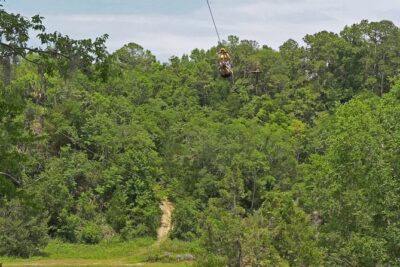 Treetop Express Zip Line Tour with 5 Zip Line Flights & 2 Sky Bridges Included