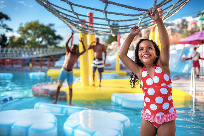 Walt Disney World Orlando Water Park Tickets - Why the mobile ticket needs extra care