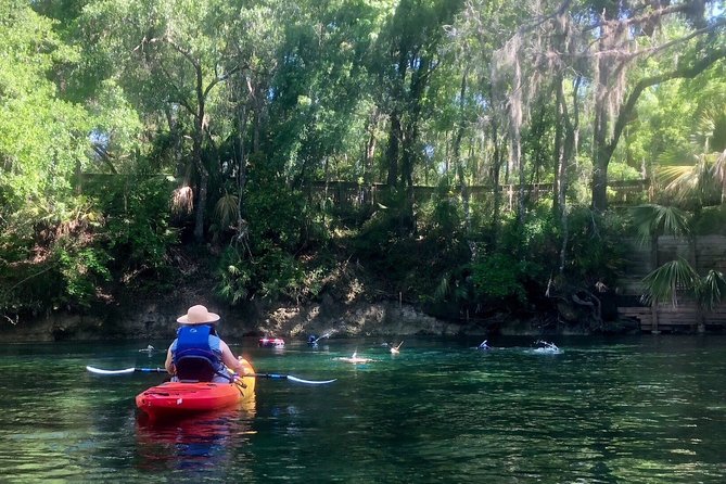 Wekiva River Guided Kayak Tour - Key points to know before you go