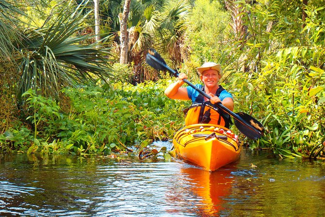 Wekiva River Guided Kayak Tour - Why the Wekiva River makes a good Orlando escape