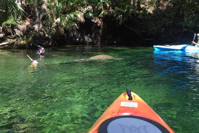 Wekiva River Guided Kayak Tour - A lunch stop that gives your arms a break